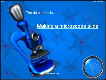 Making a microscope slide