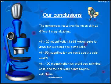 Our conclusions
