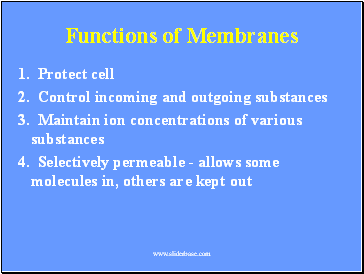 Functions of Membranes