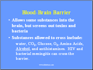 Blood-Brain Barrier