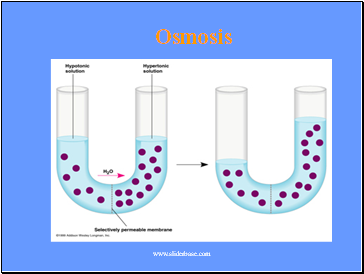 Osmosis