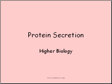 Protein Secretion