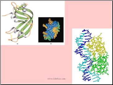 Protein Secretion