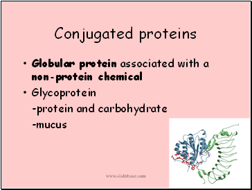 Conjugated proteins