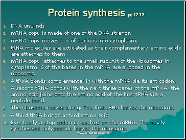 Protein synthesis