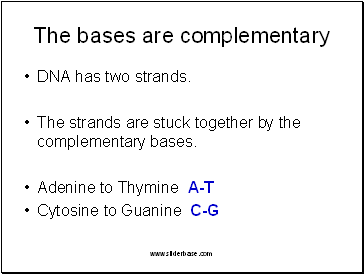 The bases are complementary