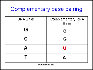 Complementary base pairing