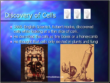 Discovery of Cells