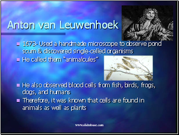 Anton van Leuwenhoek