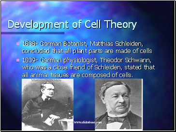 Development of Cell Theory