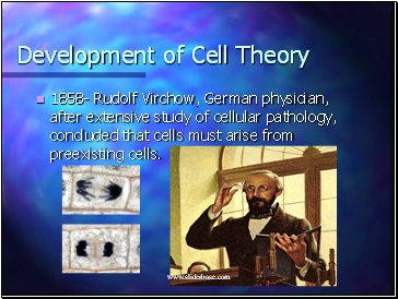 Development of Cell Theory