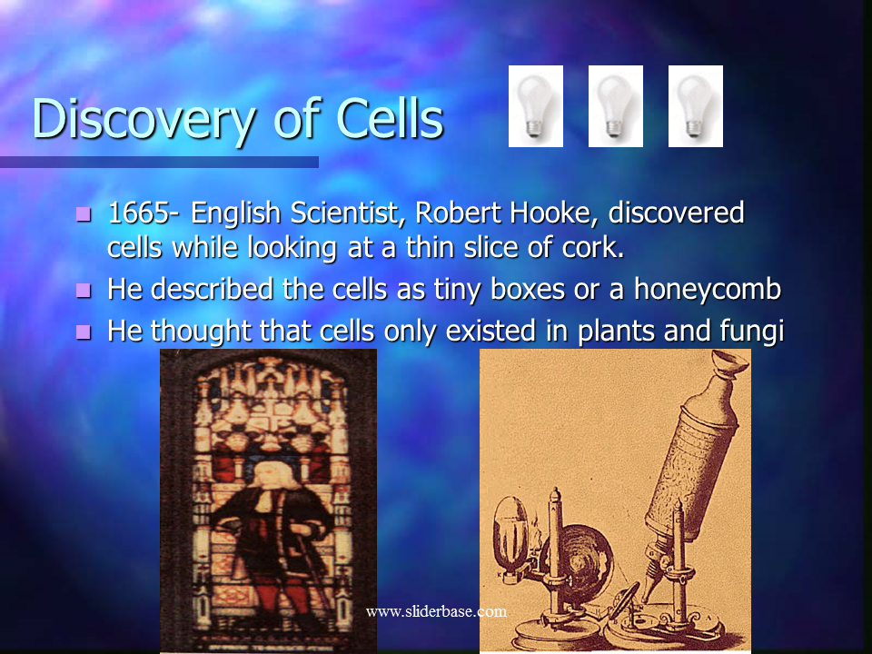 robert hooke invention of cell