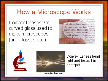 How a Microscope Works