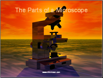 The Parts of a Microscope