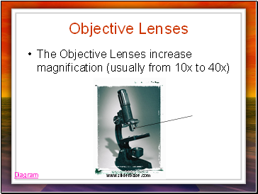 Objective Lenses