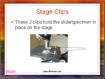 Stage Clips
