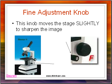 Fine Adjustment Knob