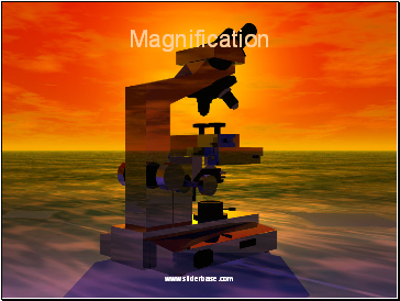 Magnification