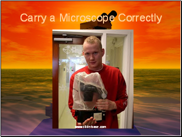 Carry a Microscope Correctly