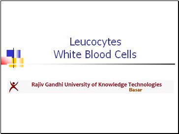 Leucocytes White Blood Cells
