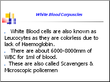 White Blood cells are also known as Leucocytes as they are colorless due to lack of Haemoglobin.