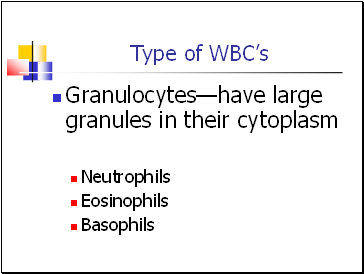 Type of WBCs