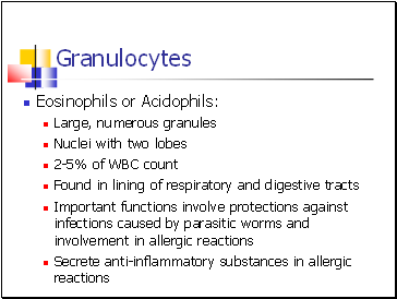 Granulocytes