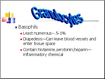 Basophils