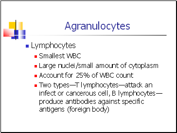 Agranulocytes