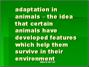 Adaptation in animals