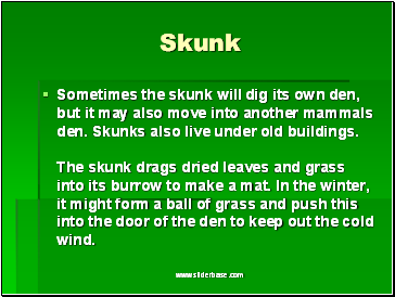 Skunk