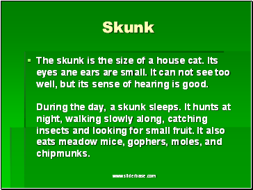 Skunk