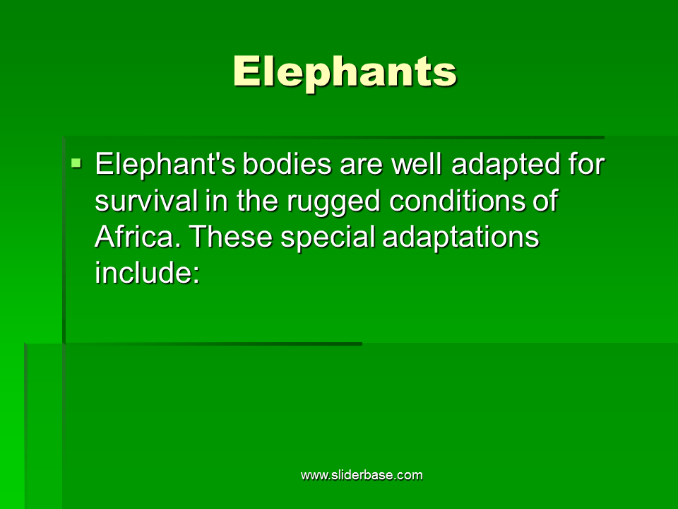 Adaptation in animals - Presentation Evolution