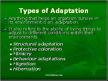 Types of Adaptation
