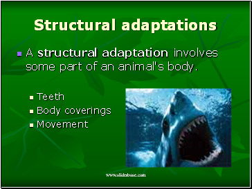 Structural adaptations