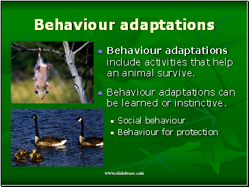 Behaviour adaptations