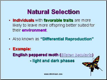 Natural Selection