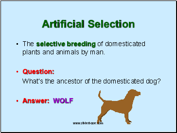 Artificial Selection