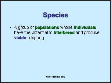 Species