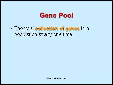 Gene Pool