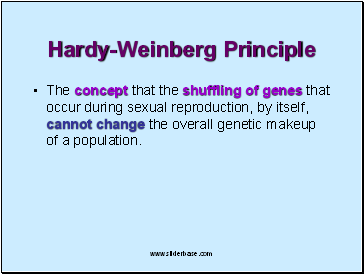 Hardy-Weinberg Principle