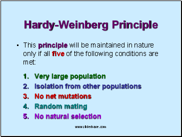 Hardy-Weinberg Principle