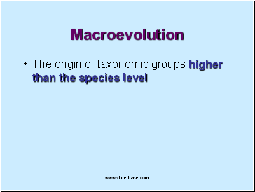 Macroevolution