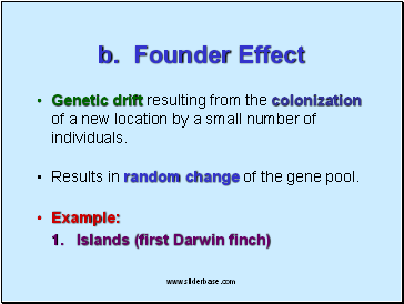 b. Founder Effect