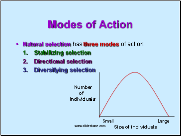 Modes of Action