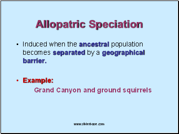 Allopatric Speciation
