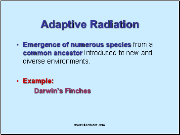 Adaptive Radiation