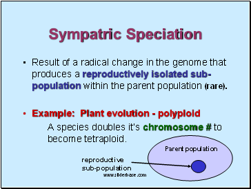 Sympatric Speciation