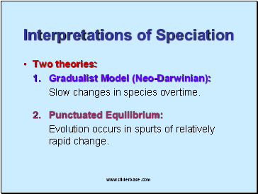 Interpretations of Speciation