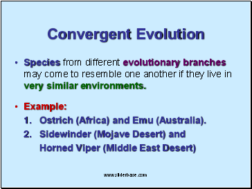 Convergent Evolution